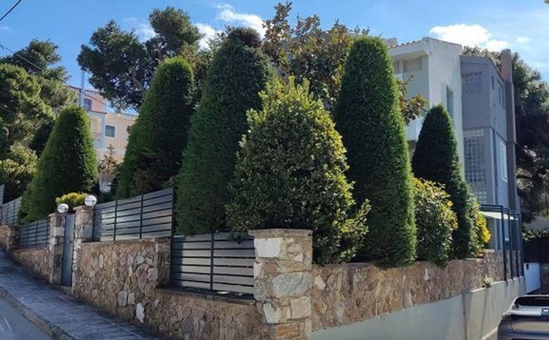 Σπέντζος πλειστ