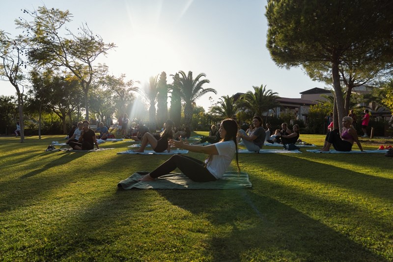 Navarino Challenge 2025