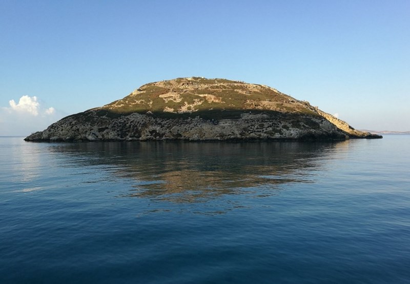 ανασκαφή στην Κέρο