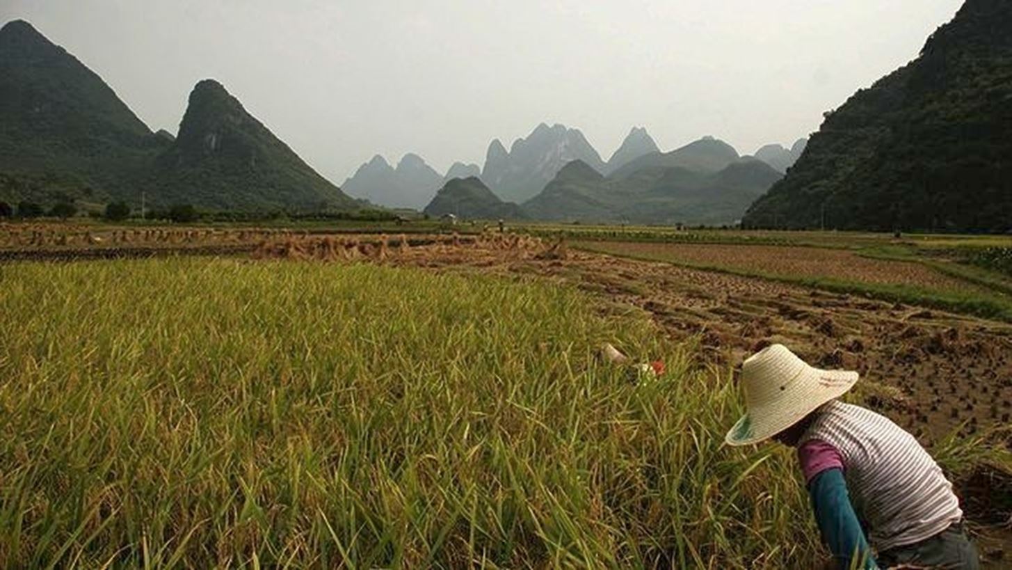 Ινδία και Ρωσία "βάζουν φωτιά" στις τιμές ρυζιού και ντίζελ