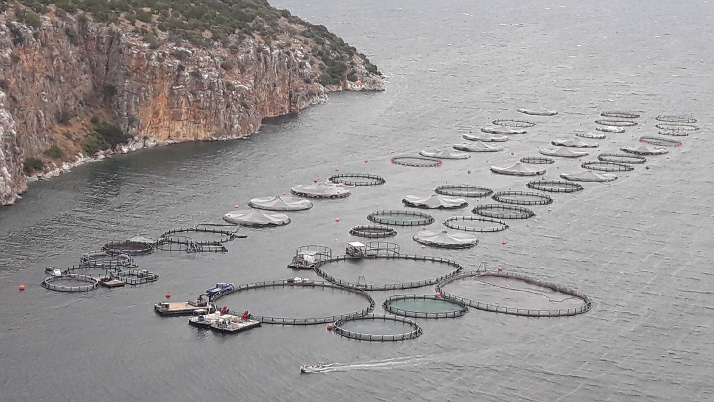 Αναζητείται λύση-εξπρές για την πώληση της προβληματικής Avramar