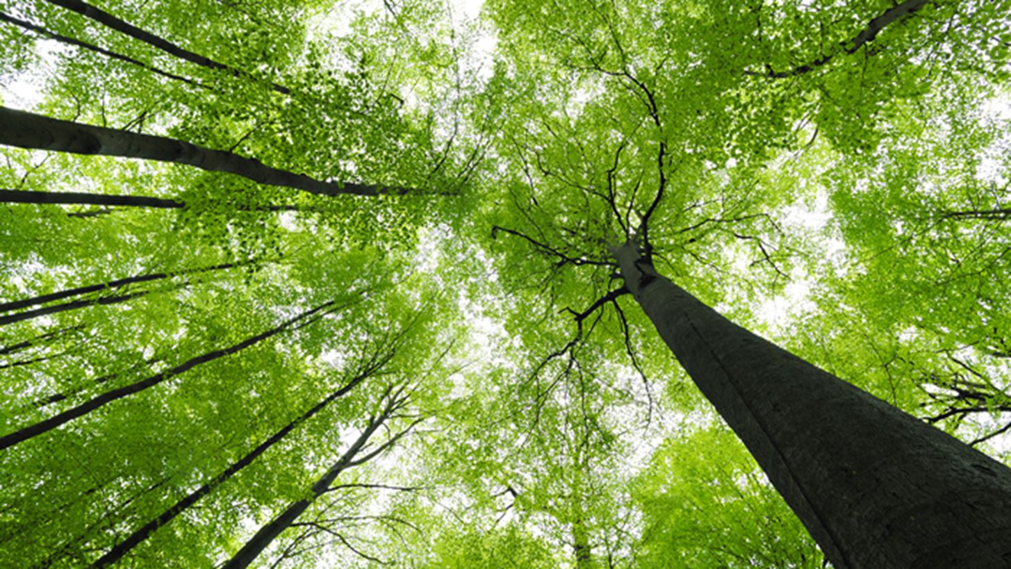 &#x388;&#x3C1;&#x3B5;&#x3C5;&#x3BD;&#x3B1;: &#x3A4;&#x3B1; &#x3B4;&#x3AC;&#x3C3;&#x3B7; &#x3BA;&#x3C9;&#x3BD;&#x3BF;&#x3C6;&#x3CC;&#x3C1;&#x3C9;&#x3BD; &#x3C4;&#x3B7;&#x3C2; &#x395;&#x3C5;&#x3C1;&#x3CE;&#x3C0;&#x3B7;&#x3C2; &#x3B8;&#x3B5;&#x3C1;&#x3BC;&#x3B1;&#x3AF;&#x3BD;&#x3BF;&#x3C5;&#x3BD; &#x3C4;&#x3B7;&#x3BD; &#x3B1;&#x3C4;&#x3BC;&#x3CC;&#x3C3;&#x3C6;&#x3B1;&#x3B9;&#x3C1;&#x3B1; &#x3B1;&#x3BD;&#x3C4;&#x3AF; &#x3BD;&#x3B1; &#x3B4;&#x3C1;&#x3BF;&#x3C3;&#x3AF;&#x3B6;&#x3BF;&#x3C5;&#x3BD;