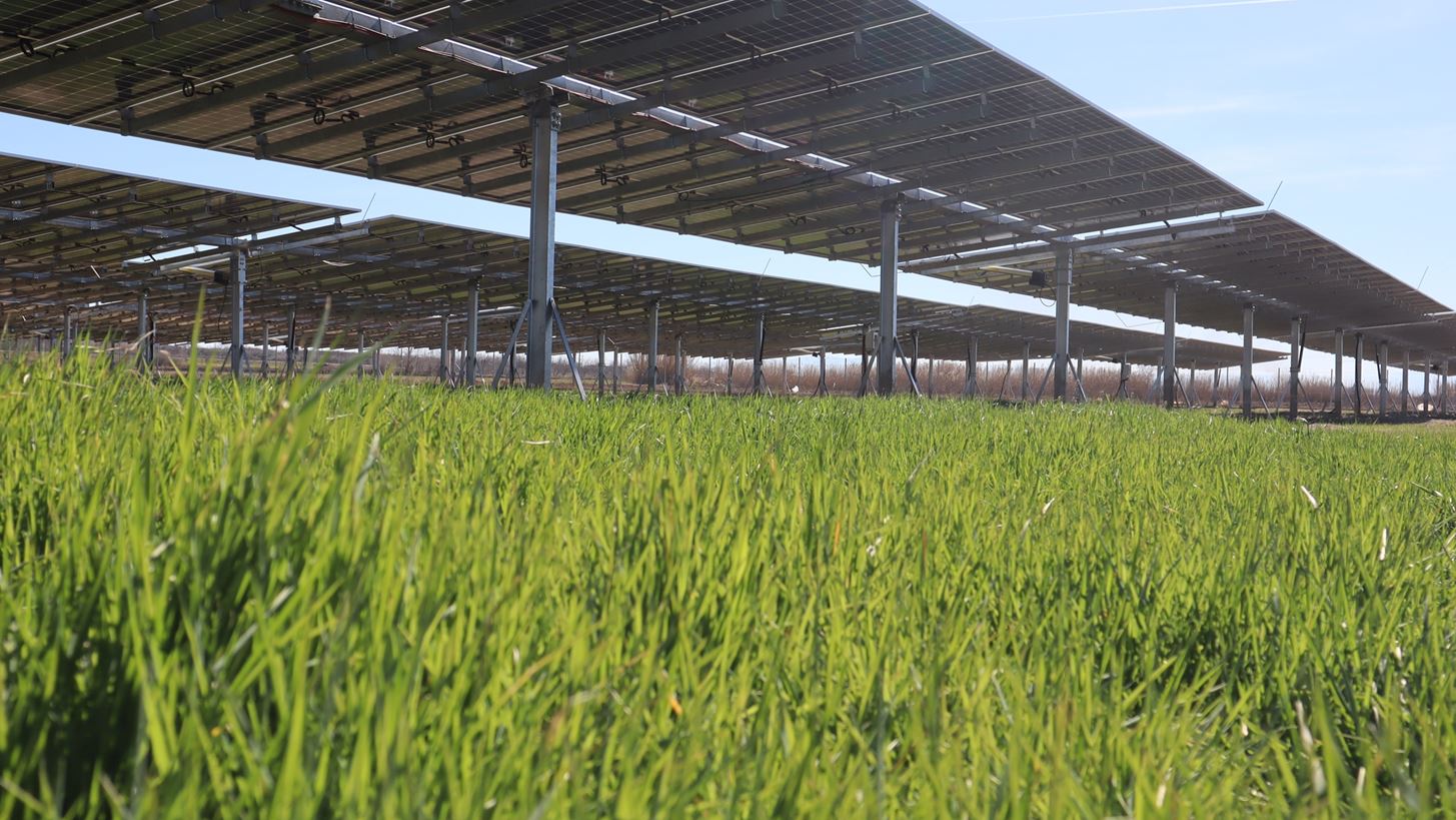 STS Engineering: H startup &#x3C0;&#x3BF;&#x3C5; &#x3B5;&#x3BE;&#x3B5;&#x3B9;&#x3B4;&#x3B9;&#x3BA;&#x3B5;&#x3CD;&#x3B5;&#x3C4;&#x3B1;&#x3B9; &#x3C3;&#x3C4;&#x3BF;&#x3BD; &#x3C4;&#x3BF;&#x3BC;&#x3AD;&#x3B1; &#x3C4;&#x3C9;&#x3BD; solar trackers