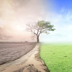 &#x397; &#x3BA;&#x3BB;&#x3B9;&#x3BC;&#x3B1;&#x3C4;&#x3B9;&#x3BA;&#x3AE; &#x3B1;&#x3BB;&#x3BB;&#x3B1;&#x3B3;&#x3AE; &#x3B8;&#x3B1; &#x3BC;&#x3C0;&#x3BF;&#x3C1;&#x3BF;&#x3CD;&#x3C3;&#x3B5; &#x3BD;&#x3B1; &#x3C0;&#x3BB;&#x3AE;&#x3BE;&#x3B5;&#x3B9; &#x3C4;&#x3B9;&#x3C2; &#x3C0;&#x3BB;&#x3BF;&#x3C5;&#x3C3;&#x3B9;&#x3CC;&#x3C4;&#x3B5;&#x3C1;&#x3B5;&#x3C2; &#x3C7;&#x3CE;&#x3C1;&#x3B5;&#x3C2; &#x3BA;&#x3B1;&#x3C4;&#x3AC; &#x3B4;&#x3C5;&#x3BF; &#x3C6;&#x3BF;&#x3C1;&#x3AD;&#x3C2; &#x3C7;&#x3B5;&#x3B9;&#x3C1;&#x3CC;&#x3C4;&#x3B5;&#x3C1;&#x3B1; &#x3B1;&#x3C0;&#x3CC; &#x3C4;&#x3B7;&#x3BD; &#x3C0;&#x3B1;&#x3BD;&#x3B4;&#x3B7;&#x3BC;&#x3AF;&#x3B1;