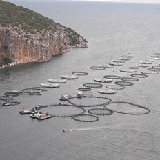 &#x391;&#x3BD;&#x3B1;&#x3B6;&#x3B7;&#x3C4;&#x3B5;&#x3AF;&#x3C4;&#x3B1;&#x3B9; &#x3BB;&#x3CD;&#x3C3;&#x3B7;-&#x3B5;&#x3BE;&#x3C0;&#x3C1;&#x3AD;&#x3C2; &#x3B3;&#x3B9;&#x3B1; &#x3C4;&#x3B7;&#x3BD; &#x3C0;&#x3CE;&#x3BB;&#x3B7;&#x3C3;&#x3B7; &#x3C4;&#x3B7;&#x3C2; &#x3C0;&#x3C1;&#x3BF;&#x3B2;&#x3BB;&#x3B7;&#x3BC;&#x3B1;&#x3C4;&#x3B9;&#x3BA;&#x3AE;&#x3C2; Avramar