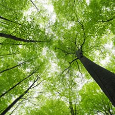 &#x388;&#x3C1;&#x3B5;&#x3C5;&#x3BD;&#x3B1;: &#x3A4;&#x3B1; &#x3B4;&#x3AC;&#x3C3;&#x3B7; &#x3BA;&#x3C9;&#x3BD;&#x3BF;&#x3C6;&#x3CC;&#x3C1;&#x3C9;&#x3BD; &#x3C4;&#x3B7;&#x3C2; &#x395;&#x3C5;&#x3C1;&#x3CE;&#x3C0;&#x3B7;&#x3C2; &#x3B8;&#x3B5;&#x3C1;&#x3BC;&#x3B1;&#x3AF;&#x3BD;&#x3BF;&#x3C5;&#x3BD; &#x3C4;&#x3B7;&#x3BD; &#x3B1;&#x3C4;&#x3BC;&#x3CC;&#x3C3;&#x3C6;&#x3B1;&#x3B9;&#x3C1;&#x3B1; &#x3B1;&#x3BD;&#x3C4;&#x3AF; &#x3BD;&#x3B1; &#x3B4;&#x3C1;&#x3BF;&#x3C3;&#x3AF;&#x3B6;&#x3BF;&#x3C5;&#x3BD;