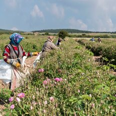 &#x3A4;&#x3B1; &#x3C7;&#x3C1;&#x3AD;&#x3B7; &#x3C4;&#x3C9;&#x3BD; &#x3B1;&#x3B3;&#x3C1;&#x3BF;&#x3C4;&#x3CE;&#x3BD; &#x3C3;&#x3C4;&#x3B7;&#x3BD; &#x3A4;&#x3BF;&#x3C5;&#x3C1;&#x3BA;&#x3AF;&#x3B1; &#x3BA;&#x3B1;&#x3B9; &#x3BF;&#x3B9; &#x3C5;&#x3C0;&#x3BF;&#x3B8;&#x3AE;&#x3BA;&#x3B5;&#x3C2;