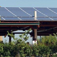 &#x39C;&#x3B5; &quot;&#x3C0;&#x3C1;&#x3AC;&#x3C3;&#x3B9;&#x3BD;&#x3B1;&quot; &#x3B5;&#x3C1;&#x3C9;&#x3C4;&#x3B7;&#x3BC;&#x3B1;&#x3C4;&#x3BF;&#x3BB;&#x3CC;&#x3B3;&#x3B9;&#x3B1; &#x3C4;&#x3B1; &#x3B4;&#x3AC;&#x3BD;&#x3B5;&#x3B9;&#x3B1; &#x3C3;&#x3C4;&#x3B9;&#x3C2; &#x3BC;&#x3B5;&#x3B3;&#x3AC;&#x3BB;&#x3B5;&#x3C2; &#x3B5;&#x3C0;&#x3B9;&#x3C7;&#x3B5;&#x3B9;&#x3C1;&#x3AE;&#x3C3;&#x3B5;&#x3B9;&#x3C2;