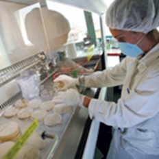 Frezyderm: &#x395;&#x3BB;&#x3BB;&#x3B7;&#x3BD;&#x3B9;&#x3BA;&#x3AC; &#x3B4;&#x3B5;&#x3C1;&#x3BC;&#x3BF;&#x3BA;&#x3B1;&#x3BB;&#x3BB;&#x3C5;&#x3BD;&#x3C4;&#x3B9;&#x3BA;&#x3AC; &#x3C3;&#x3B5; 50 &#x3C7;&#x3CE;&#x3C1;&#x3B5;&#x3C2; - &#x3A0;&#x3BF;&#x3CD; &quot;&#x3B1;&#x3BD;&#x3B5;&#x3B2;&#x3AC;&#x3B6;&#x3B5;&#x3B9;&quot; &#x3BC;&#x3B5;&#x3C1;&#x3AF;&#x3B4;&#x3B9;&#x3B1;