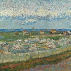 &#x397; &#x3C0;&#x3C1;&#x3CE;&#x3C4;&#x3B7; &#x3C3;&#x3C5;&#x3BB;&#x3BB;&#x3AD;&#x3BA;&#x3C4;&#x3C1;&#x3B9;&#x3B1; &#x3C4;&#x3BF;&#x3C5; Van Gogh&#x2026; &#x3C0;&#x3C1;&#x3B9;&#x3BD; &#x3BA;&#x3B1;&#x3BD; &#x3C4;&#x3BF;&#x3BD; &#x3B8;&#x3AC;&#x3BD;&#x3B1;&#x3C4;&#x3CC; &#x3C4;&#x3BF;&#x3C5;