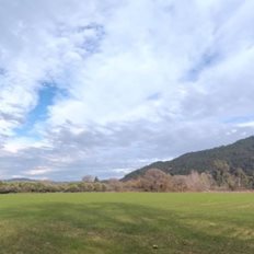 &#x39F;&#x3B9;&#x3BD;&#x3BF;&#x3C0;&#x3BF;&#x3B9;&#x3AF;&#x3B1; &#x3A4;&#x3C3;&#x3AC;&#x3BD;&#x3C4;&#x3B1;&#x3BB;&#x3B7;: &#x391;&#x3C0;&#x3CC; &#x3C4;&#x3B7;&#x3BD; &#x3AC;&#x3BD;&#x3BF;&#x3B4;&#x3BF; &#x3C3;&#x3C4;&#x3B7;&#x3BD; &#x3BA;&#x3B1;&#x3C4;&#x3AC;&#x3C1;&#x3C1;&#x3B5;&#x3C5;&#x3C3;&#x3B7; &#x3BA;&#x3B1;&#x3B9; &#x3C4;&#x3BF;&#x3C5;&#x3C2; &#x3C0;&#x3BB;&#x3B5;&#x3B9;&#x3C3;&#x3C4;&#x3B7;&#x3C1;&#x3B9;&#x3B1;&#x3C3;&#x3BC;&#x3BF;&#x3CD;&#x3C2;