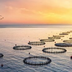 Avramar: &#x3A3;&#x3C4;&#x3CC;&#x3C7;&#x3BF;&#x3C2; &#x3AD;&#x3BD;&#x3B1; &quot;&#x3B1;&#x3B4;&#x3B9;&#x3AC;&#x3C4;&#x3C1;&#x3B7;&#x3C4;&#x3BF;&quot; &#x3C3;&#x3C7;&#x3AD;&#x3B4;&#x3B9;&#x3BF; &#x3B5;&#x3BE;&#x3C5;&#x3B3;&#x3AF;&#x3B1;&#x3BD;&#x3C3;&#x3B7;&#x3C2; &#x2013; &#x39F; &#x3BA;&#x3C1;&#x3AF;&#x3C3;&#x3B9;&#x3BC;&#x3BF;&#x3C2; &#x3BF; &#x39D;&#x3BF;&#x3AD;&#x3BC;&#x3B2;&#x3C1;&#x3B9;&#x3BF;&#x3C2;