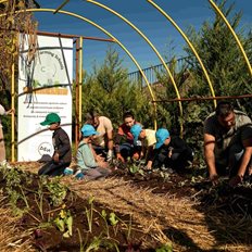 &#x394;&#x395;&#x397; &#x3BA;&#x3B1;&#x3B9; Open Farm &#x3C0;&#x3C1;&#x3BF;&#x3C9;&#x3B8;&#x3BF;&#x3CD;&#x3BD; &#x3C4;&#x3B7; &#x3B2;&#x3B9;&#x3CE;&#x3C3;&#x3B9;&#x3BC;&#x3B7; &#x3B3;&#x3B5;&#x3C9;&#x3C1;&#x3B3;&#x3AF;&#x3B1; &#x3C3;&#x3C4;&#x3BF;&#x3C5;&#x3C2; &#x3BC;&#x3B1;&#x3B8;&#x3B7;&#x3C4;&#x3AD;&#x3C2; &#x3BC;&#x3AD;&#x3C3;&#x3C9; &#x3C4;&#x3BF;&#x3C5; &quot;Carbon Farming Schools&quot;