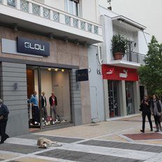 &#x39F;&#x3B9;&#x3BA;&#x3BF;&#x3B3;&#x3AD;&#x3BD;&#x3B5;&#x3B9;&#x3B1; &#x393;&#x3BB;&#x3BF;&#x3C5;: &#x3A4;&#x3BF; success story &#x3C4;&#x3B7;&#x3C2; Glou, &#x3BF; &quot;&#x3C0;&#x3CC;&#x3BB;&#x3B5;&#x3BC;&#x3BF;&#x3C2;&quot; &#x3BC;&#x3B5; &#x3C4;&#x3B7;&#x3BD; Puma, &#x3C4;&#x3BF; &#x3BB;&#x3BF;&#x3C5;&#x3BA;&#x3AD;&#x3C4;&#x3BF; &#x3BA;&#x3B1;&#x3B9; &#x3C4;&#x3B1; &quot;&#x3C3;&#x3C6;&#x3C5;&#x3C1;&#x3B9;&#x3AC;&quot;