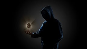 Πώς οι ΗΠΑ καταδίωξαν Ρώσους "Mr Crypto" σε όλο τον κόσμο με τη "βοήθεια" μιας ταξιδιωτικής εταιρείας