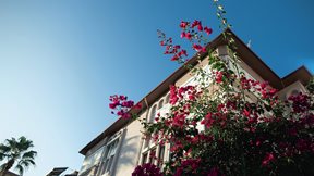 Υψηλή ζήτηση για την αγορά εξοχικών κατοικιών