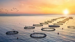 Avramar: &#x3A3;&#x3C4;&#x3CC;&#x3C7;&#x3BF;&#x3C2; &#x3AD;&#x3BD;&#x3B1; &quot;&#x3B1;&#x3B4;&#x3B9;&#x3AC;&#x3C4;&#x3C1;&#x3B7;&#x3C4;&#x3BF;&quot; &#x3C3;&#x3C7;&#x3AD;&#x3B4;&#x3B9;&#x3BF; &#x3B5;&#x3BE;&#x3C5;&#x3B3;&#x3AF;&#x3B1;&#x3BD;&#x3C3;&#x3B7;&#x3C2; &#x2013; &#x39F; &#x3BA;&#x3C1;&#x3AF;&#x3C3;&#x3B9;&#x3BC;&#x3BF;&#x3C2; &#x3BF; &#x39D;&#x3BF;&#x3AD;&#x3BC;&#x3B2;&#x3C1;&#x3B9;&#x3BF;&#x3C2;