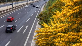 &#x39F;&#x3BB;&#x3BF;&#x3BA;&#x3BB;&#x3AE;&#x3C1;&#x3C9;&#x3C3;&#x3B7; &#x3C3;&#x3C5;&#x3BC;&#x3C6;&#x3C9;&#x3BD;&#x3AF;&#x3B1;&#x3C2; &#x393;&#x395;&#x39A; &#x3A4;&#x395;&#x3A1;&#x39D;&#x391;-Latsco Family Office &#x3B3;&#x3B9;&#x3B1; &#x3C4;&#x3BF; 10% &#x3C3;&#x3C4;&#x3B7;&#x3BD; &#x391;&#x3C4;&#x3C4;&#x3B9;&#x3BA;&#x3AE; &#x39F;&#x3B4;&#x3CC; - &#x3A3;&#x3C4;&#x3B1; &#x20AC;77,24 &#x3B5;&#x3BA;&#x3B1;&#x3C4;. &#x3C4;&#x3BF; &#x3C4;&#x3AF;&#x3BC;&#x3B7;&#x3BC;&#x3B1;