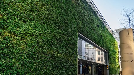 &#x3A5;&#x3C8;&#x3B7;&#x3BB;&#x3AE; &#x3B6;&#x3AE;&#x3C4;&#x3B7;&#x3C3;&#x3B7; &#x3B3;&#x3B9;&#x3B1; &#x3BA;&#x3B1;&#x3C4;&#x3BF;&#x3B9;&#x3BA;&#x3AF;&#x3B5;&#x3C2; &#x3BA;&#x3B1;&#x3B9; &#x3C0;&#x3C1;&#x3AC;&#x3C3;&#x3B9;&#x3BD;&#x3B1; &#x3B3;&#x3C1;&#x3B1;&#x3C6;&#x3B5;&#x3AF;&#x3B1;