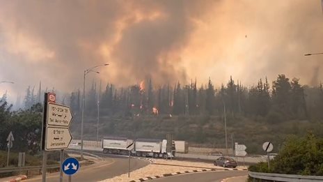 Πυρκαγιές και ρύπανση: Δύο προβλήματα με λύση αν αναλάβουμε δράση