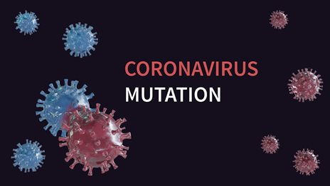 Οι μεταλλάξεις του κορονοϊού δεν αυξάνουν την εξάπλωσή του, υποστηρίζει νέα έρευνα
