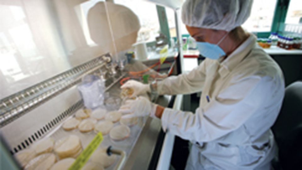 Frezyderm: &#x395;&#x3BB;&#x3BB;&#x3B7;&#x3BD;&#x3B9;&#x3BA;&#x3AC; &#x3B4;&#x3B5;&#x3C1;&#x3BC;&#x3BF;&#x3BA;&#x3B1;&#x3BB;&#x3BB;&#x3C5;&#x3BD;&#x3C4;&#x3B9;&#x3BA;&#x3AC; &#x3C3;&#x3B5; 50 &#x3C7;&#x3CE;&#x3C1;&#x3B5;&#x3C2; - &#x3A0;&#x3BF;&#x3CD; &quot;&#x3B1;&#x3BD;&#x3B5;&#x3B2;&#x3AC;&#x3B6;&#x3B5;&#x3B9;&quot; &#x3BC;&#x3B5;&#x3C1;&#x3AF;&#x3B4;&#x3B9;&#x3B1;